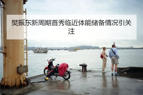 樊振东新周期首秀临近体能储备情况引关注