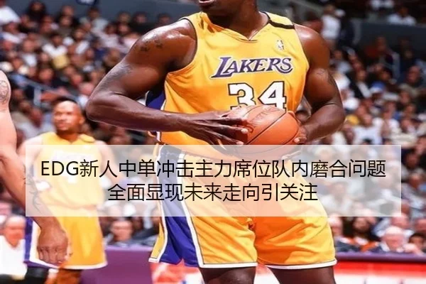 EDG新人中单冲击主力席位队内磨合问题全面显现未来走向引关注